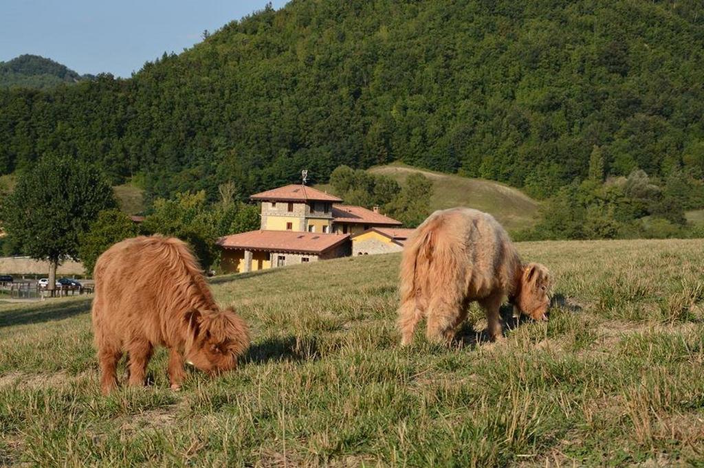 הוילה San Sebastiano Curone Agriturismo Ca Bella מראה חיצוני תמונה