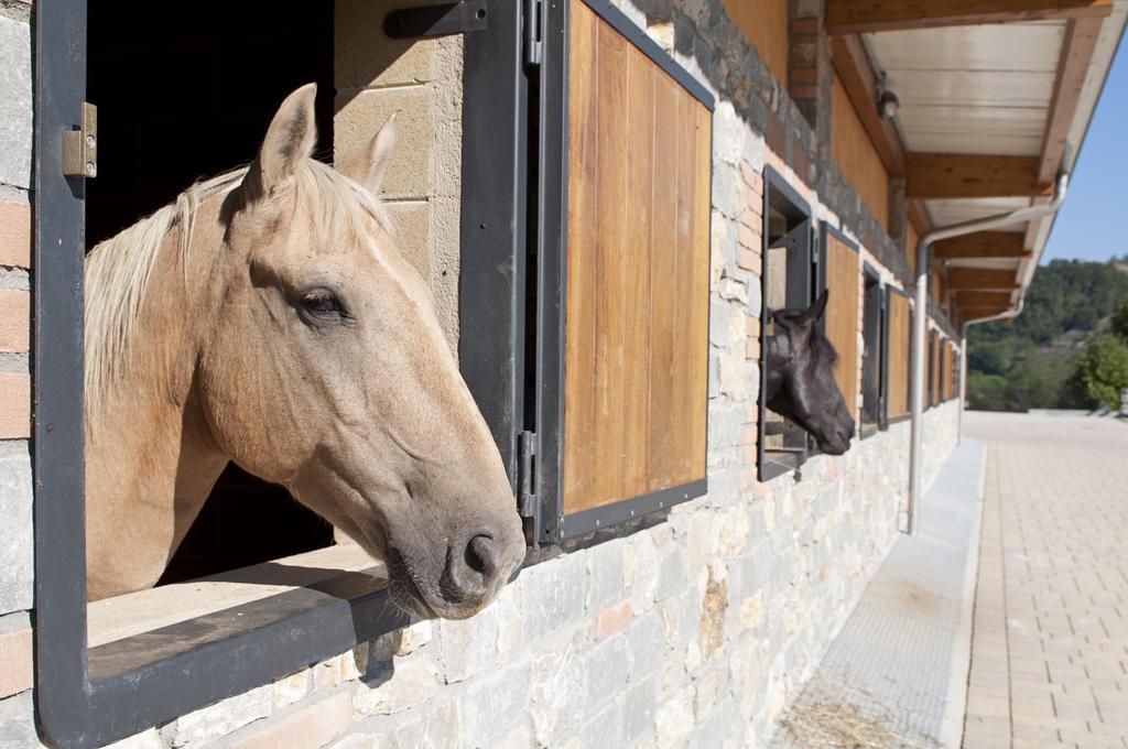 הוילה San Sebastiano Curone Agriturismo Ca Bella מראה חיצוני תמונה