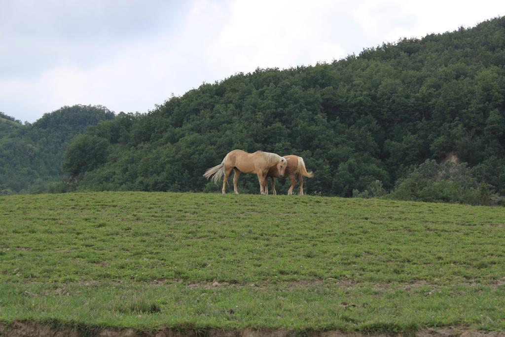 הוילה San Sebastiano Curone Agriturismo Ca Bella מראה חיצוני תמונה