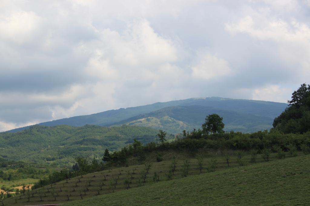 הוילה San Sebastiano Curone Agriturismo Ca Bella מראה חיצוני תמונה